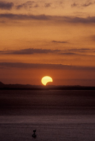 1991年1月の日食