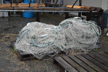 シラス船曳網の網