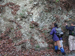 デイサイト質凝灰岩を観察