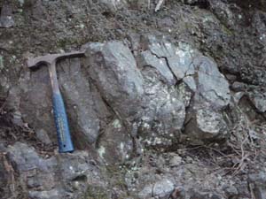 無斑晶質玄武岩からなる枕状溶岩の露頭