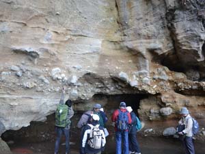 ヨネノ根の、砂岩や礫岩からなる浦郷層を観察する