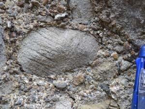 礫岩中に含まれるシルト礫にみられる脈状構造