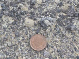 逗子層中のスコリア層にみられる火山豆石