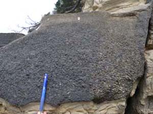 HK凝灰岩の直上に狭在するスコリア質凝灰岩層