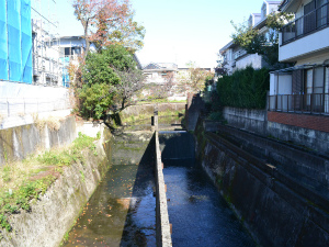 姫之橋から矢沢川上流を望む。かつて存在した姫の滝は写真左奥付近にあったとされる(世田谷区等々力)。