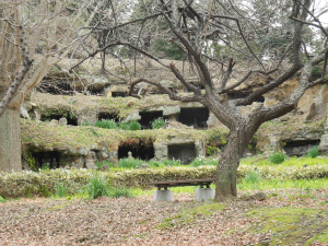 鷹取山火砕岩部層からなるまんだら堂やぐら群を遠望する。やぐらとは13～15世紀に築かれた墓の一種(逗子市小坪)。