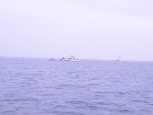 定置網漁で作業をする漁船