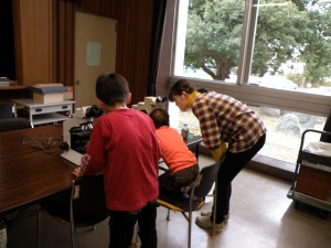 顕微鏡で観察する