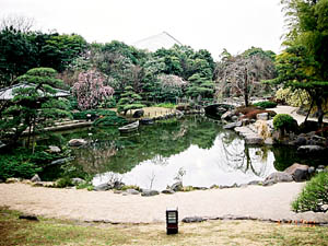 日本庭園に使われている佐久石