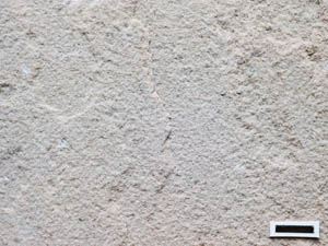 インド白砂岩の接写