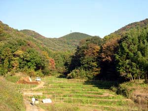 谷戸田の風景