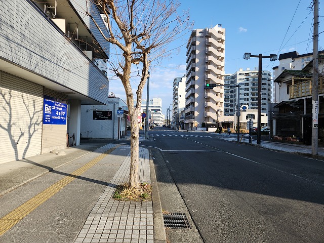 公園通り。日曜朝の写真。街路樹はサルスベリと思われる