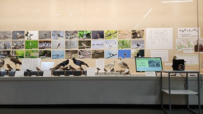 展示コーナー写真