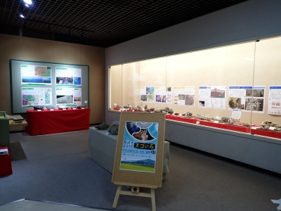 ポスト特別展「丹沢でみつけたスゴい石 丹沢山地の岩石・化石・鉱物」