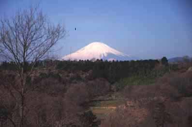 土屋から見る富士山