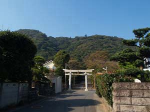 高来神社と高麗山の森