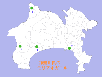 神奈川県のモリアオガエルの分布