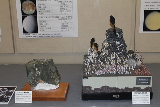 チムニーの実物標本と熱水噴出孔の模型