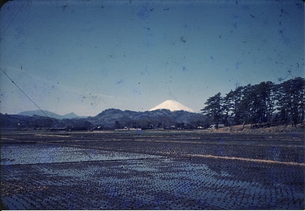 上平塚から富士山方面を望む