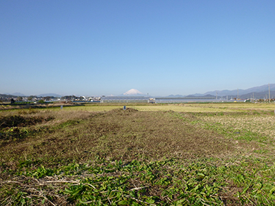 金田小学校北側の畑