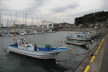 湘南港の漁船