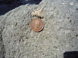 カンラン石ハンレイ岩の捕獲結晶を含むカンラン石玄武岩