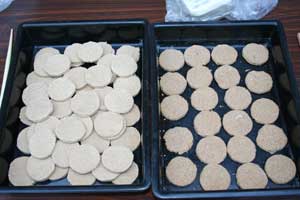 古代生活実験室−ドングリクッキーを作る