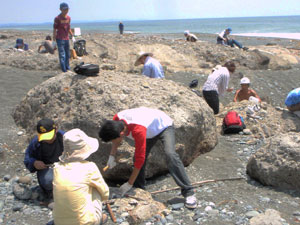 自然観察入門講座「貝化石を調べよう」