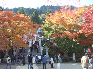 第4回「金目川を歩く」　紅葉に色づく阿夫利神社