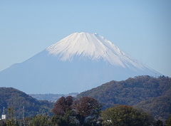 新雪の富士山2021.11.25平塚（撮影　松本富美江）