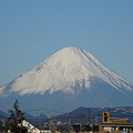 新年の富士山20220105平塚（撮影　松本富美江）