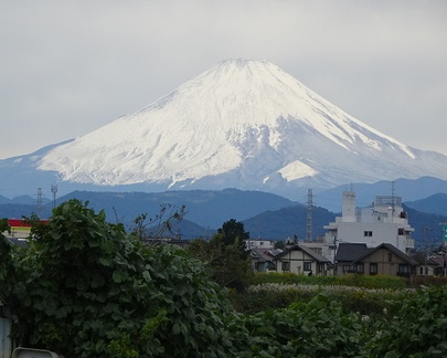 冠雪の富士山2022.10.25平塚（撮影　松本富美江）