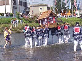 金目川で禊をする比々多神社の神輿