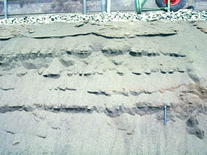 砂丘の断面
