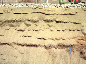 砂州を作る砂層