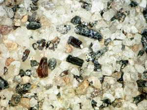 粘土化軽石中の鉱物