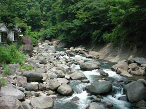 早川上流の景観