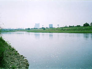 多摩川下流の景観