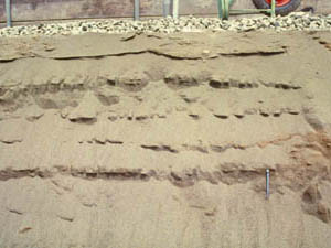 砂州を作る縞状の砂層