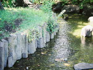 総合公園の池周りの伊豆六方石