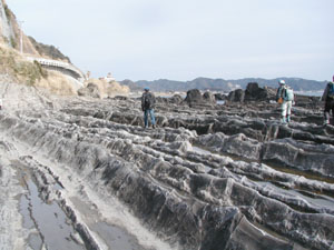 明鐘岬の三浦層群