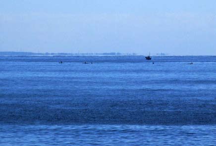 平塚海岸で見られた浮島現象