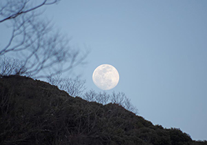 スーパームーン前日に大山で撮影した月